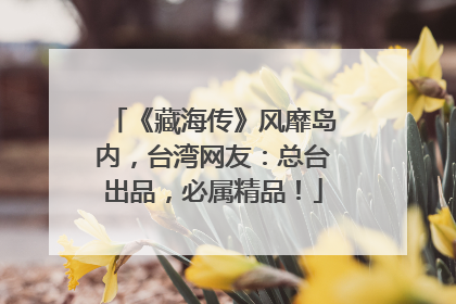 《藏海传》风靡岛内，台湾网友：总台出品，必属精品！