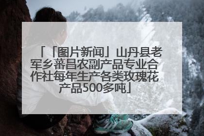 「图片新闻」山丹县老军乡蕃昌农副产品专业合作社每年生产各类玫瑰花产品500多吨