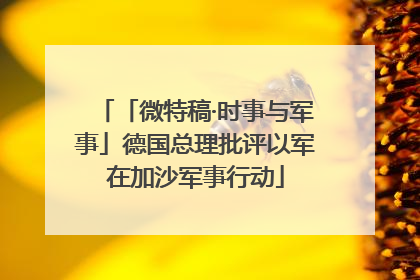 「微特稿·时事与军事」德国总理批评以军在加沙军事行动