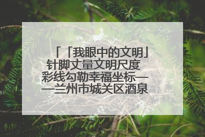 「我眼中的文明」针脚丈量文明尺度 彩线勾勒幸福坐标——兰州市城关区酒泉路街道办事处