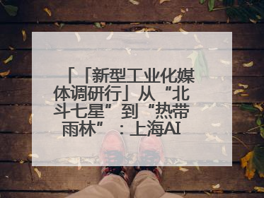 「新型工业化媒体调研行」从“北斗七星”到“热带雨林”：上海AI生态的技术商业共生密码