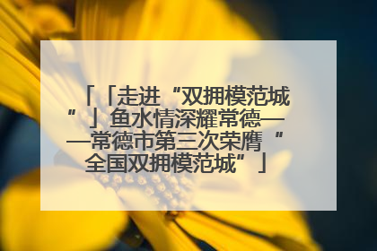 「走进“双拥模范城”」鱼水情深耀常德——常德市第三次荣膺“全国双拥模范城”