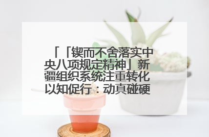 「锲而不舍落实中央八项规定精神」新疆组织系统注重转化以知促行：动真碰硬抓好整改整治