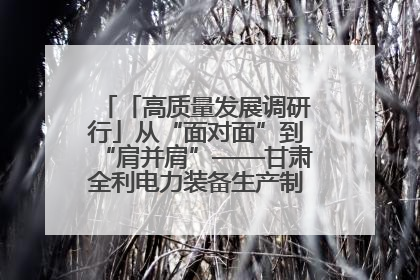 「高质量发展调研行」从“面对面”到“肩并肩”——甘肃全利电力装备生产制造项目一线见闻