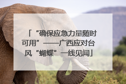 “确保应急力量随时可用”——广西应对台风“蝴蝶”一线见闻