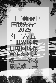 “美丽中国我先行” 2025年“六·五”世界环境日电网环保宣传系列活动——多场景联动，共筑生态发展新图景