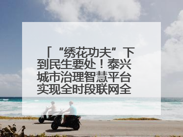 “绣花功夫”下到民生要处！泰兴城市治理智慧平台实现全时段联网全要素细治