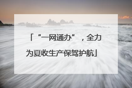 “一网通办”，全力为夏收生产保驾护航