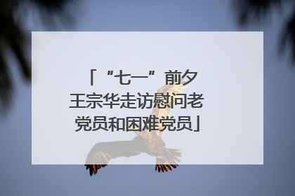 “七一”前夕 王宗华走访慰问老党员和困难党员