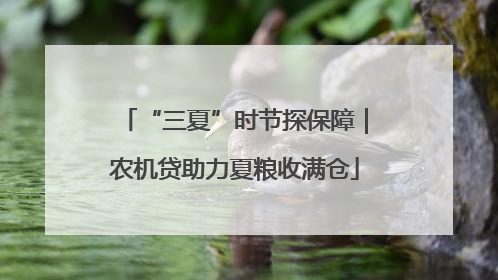 “三夏”时节探保障｜农机贷助力夏粮收满仓