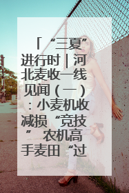 “三夏”进行时｜河北麦收一线见闻（一）：小麦机收减损“竞技” 农机高手麦田“过招”