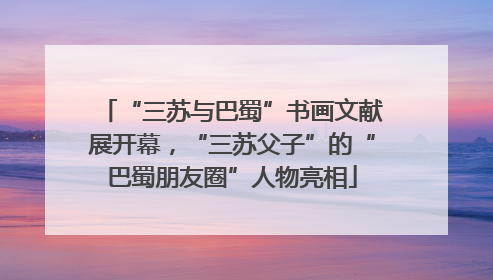 “三苏与巴蜀”书画文献展开幕，“三苏父子”的“巴蜀朋友圈”人物亮相