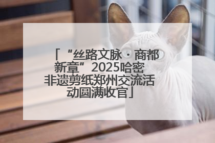 “丝路文脉・商都新章”2025哈密非遗剪纸郑州交流活动圆满收官