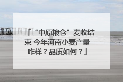 “中原粮仓”麦收结束 今年河南小麦产量咋样？品质如何？