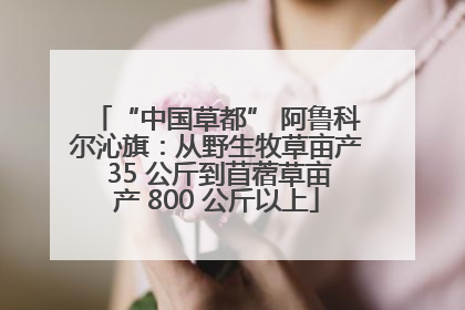 “中国草都” 阿鲁科尔沁旗：从野生牧草亩产 35 公斤到苜蓿草亩产 800 公斤以上