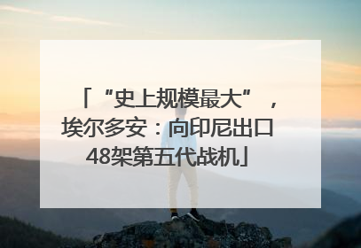 “史上规模最大”，埃尔多安：向印尼出口48架第五代战机