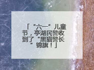 “六一”儿童节，亭湖民警收到了“黑猫警长”锦旗！