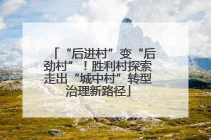 “后进村”变“后劲村”！胜利村探索走出“城中村”转型治理新路径