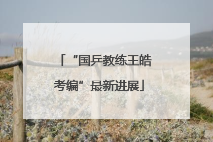 “国乒教练王皓考编”最新进展