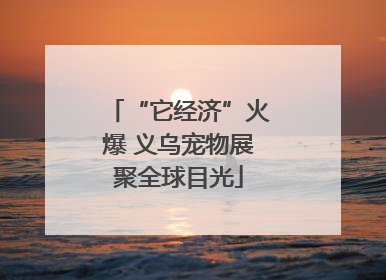 “它经济”火爆 义乌宠物展聚全球目光