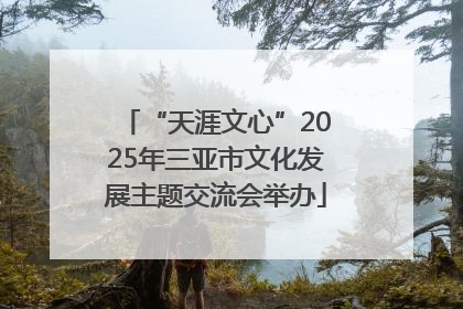 “天涯文心”2025年三亚市文化发展主题交流会举办