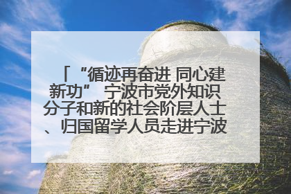 “循迹再奋进 同心建新功” 宁波市党外知识分子和新的社会阶层人士、归国留学人员走进宁波舟山港穿山港区