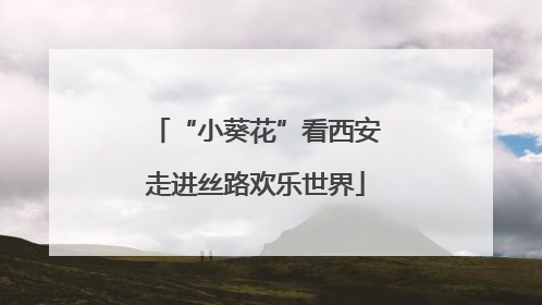 “小葵花”看西安走进丝路欢乐世界
