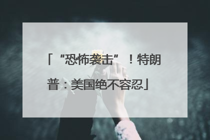 “恐怖袭击”！特朗普：美国绝不容忍