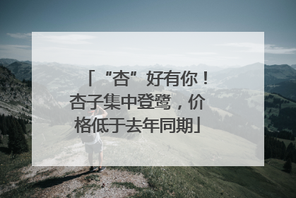 “杏”好有你！杏子集中登鹭，价格低于去年同期