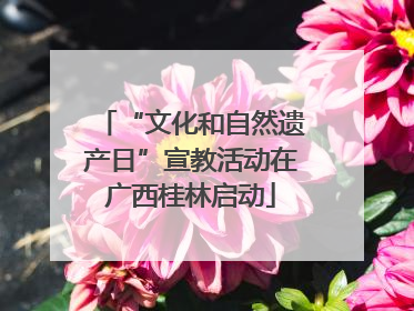 “文化和自然遗产日”宣教活动在广西桂林启动
