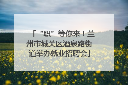 “职”等你来！兰州市城关区酒泉路街道举办就业招聘会