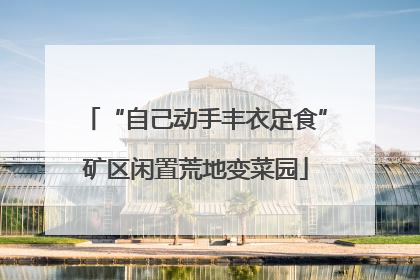 “自己动手丰衣足食”矿区闲置荒地变菜园