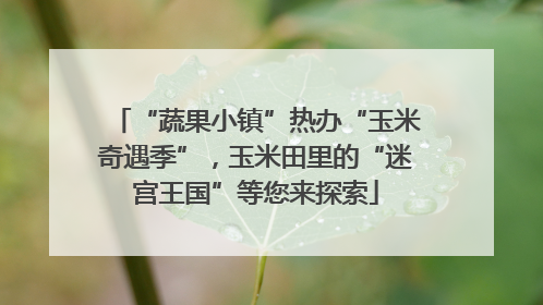 “蔬果小镇”热办“玉米奇遇季”，玉米田里的“迷宫王国”等您来探索