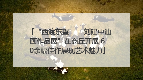 “西渡东望——刘建中油画作品展”在商丘开展 60余幅佳作展现艺术魅力