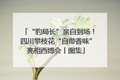 “豹局长”亲自到场！四川攀枝花“自带香味”亮相西博会丨图集