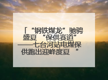 “钢铁煤龙”驰骋盛夏 “保供赛道”——七台河站电煤保供跑出迎峰度夏 “加速度”