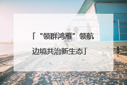 “领群鸿雁”领航边境共治新生态