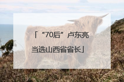 “70后”卢东亮当选山西省省长