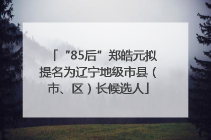“85后”郑皓元拟提名为辽宁地级市县（市、区）长候选人