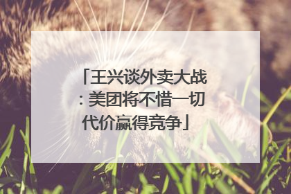 王兴谈外卖大战：美团将不惜一切代价赢得竞争