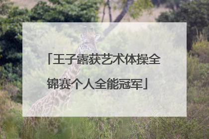 王子露获艺术体操全锦赛个人全能冠军