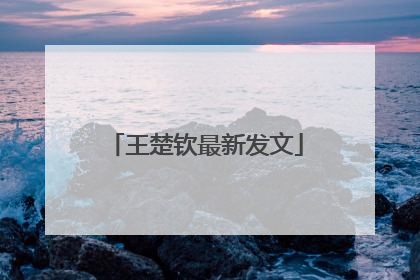 王楚钦最新发文