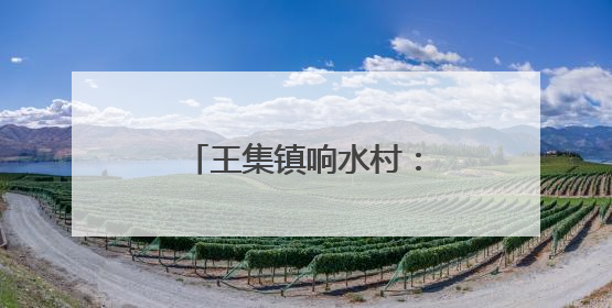 王集镇响水村：种下“黄金桃” 收获“致富果”