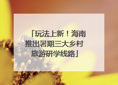 玩法上新！海南推出暑期三大乡村旅游研学线路
