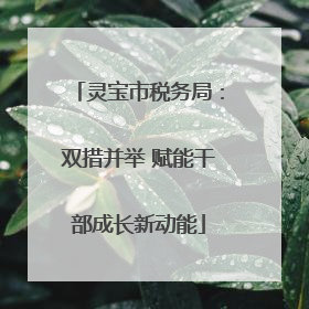 灵宝市税务局：双措并举 赋能干部成长新动能