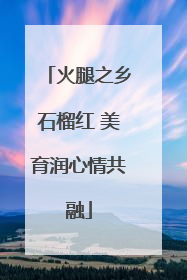 火腿之乡石榴红 美育润心情共融