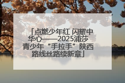 点燃少年红 闪耀中华心——2025浦莎青少年“手拉手”陕西路线丝路续新章