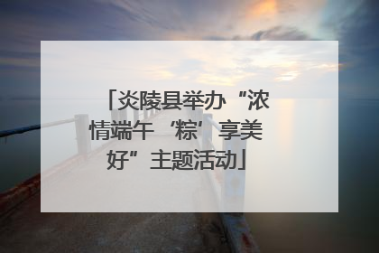 炎陵县举办“浓情端午‘粽’享美好”主题活动