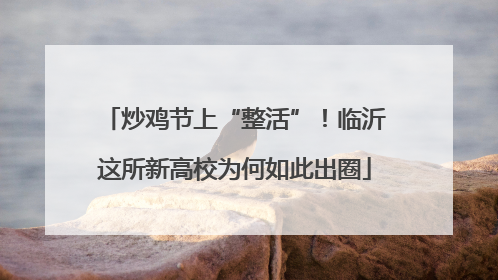 炒鸡节上“整活”！临沂这所新高校为何如此出圈