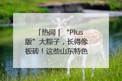 热闻｜“Plus版”大粽子，长得像板砖！这些山东特色粽子你吃过吗？